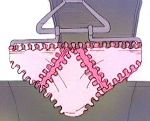 The test knickers!