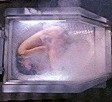 River is smuggled out in a cryo-pod